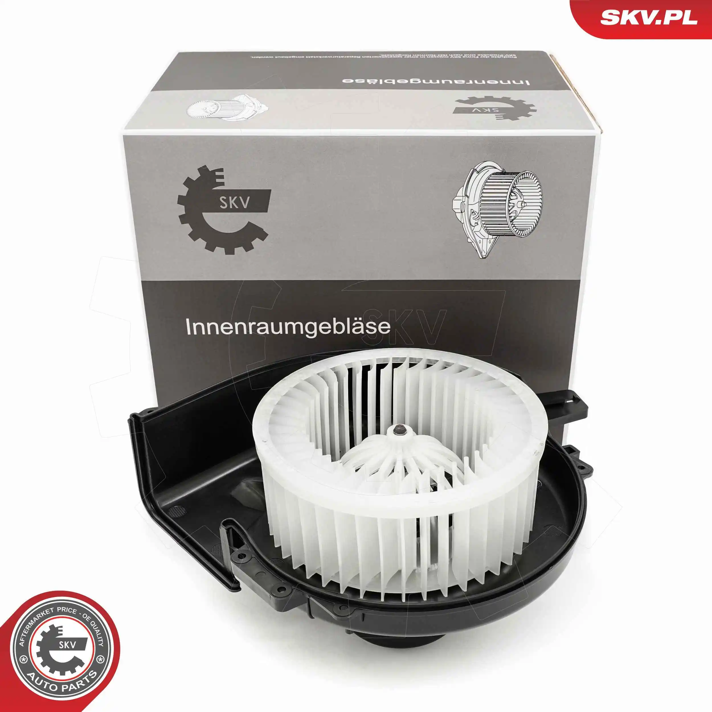 Interior Blower